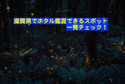 滋賀でホタルが見れる場所 見頃の時期 アクセスを大特集 とらぐる