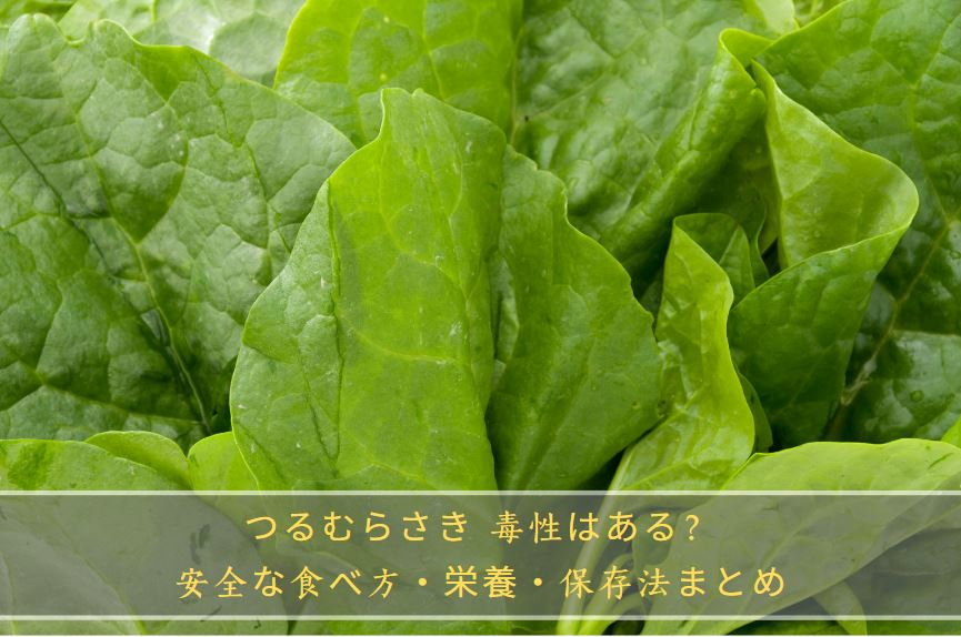 つるむらさき 毒性
