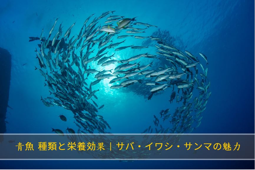 青魚 種類