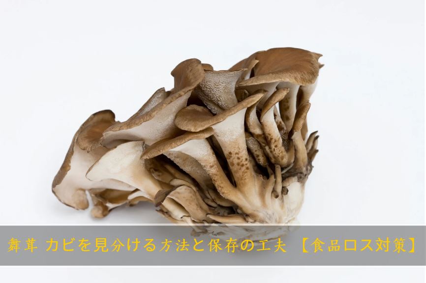 舞茸 カビ