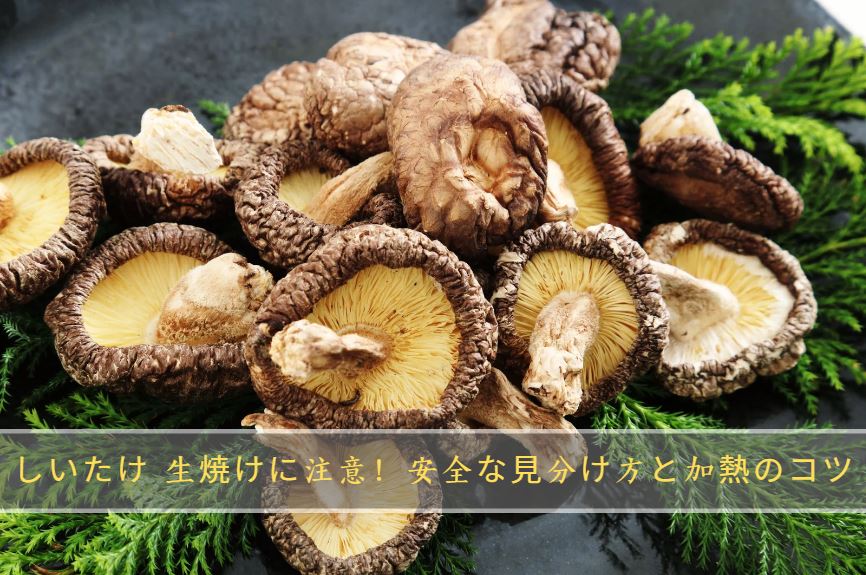 しいたけ 生焼け